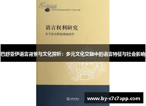 巴舒亚伊语言背景与文化探析：多元文化交融中的语言特征与社会影响