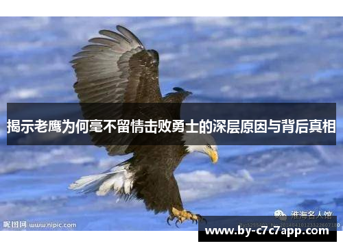 揭示老鹰为何毫不留情击败勇士的深层原因与背后真相